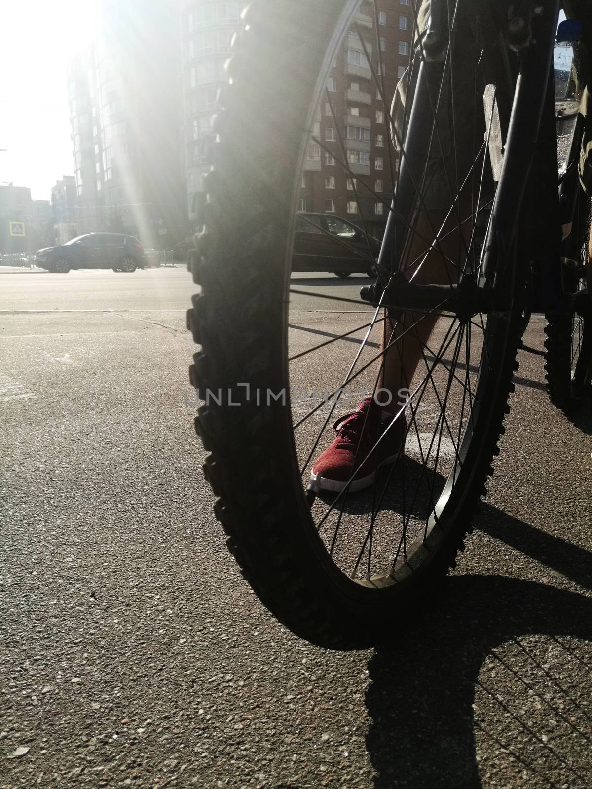 Close up of front bike wheel on asphalt and male legs