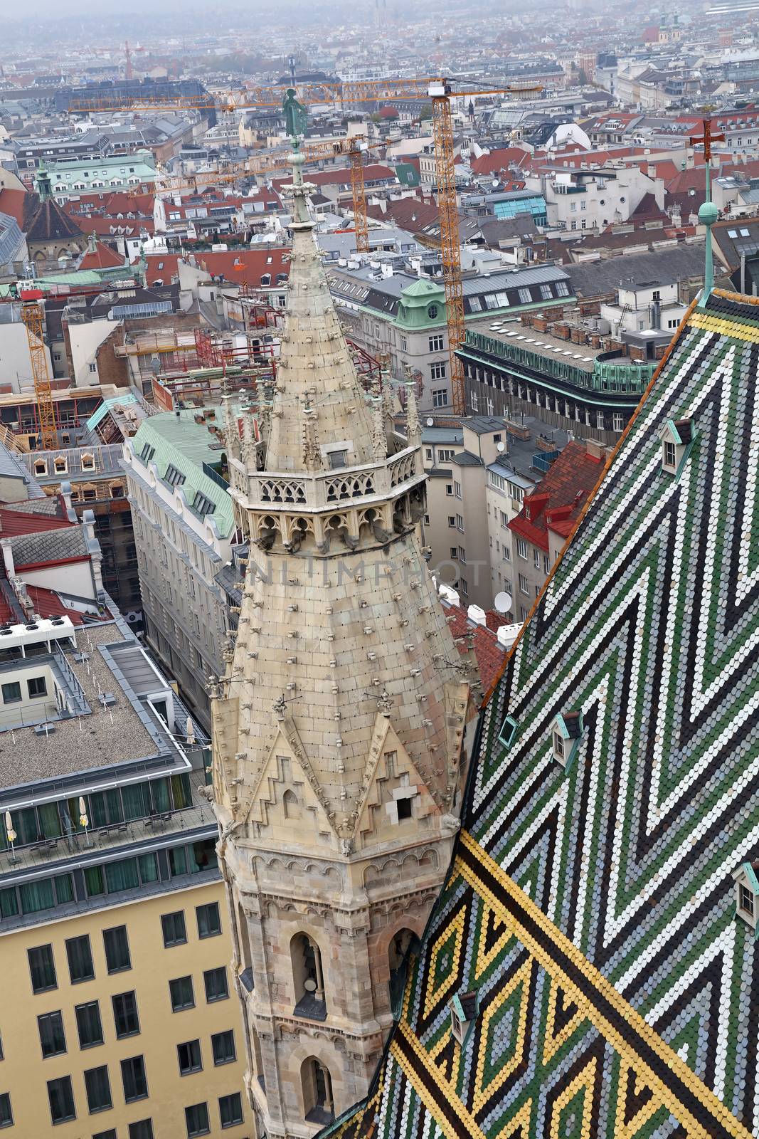 View of Vienna city over roof towers of St Stephen Cathedral (Stephansdom), day, high angle view