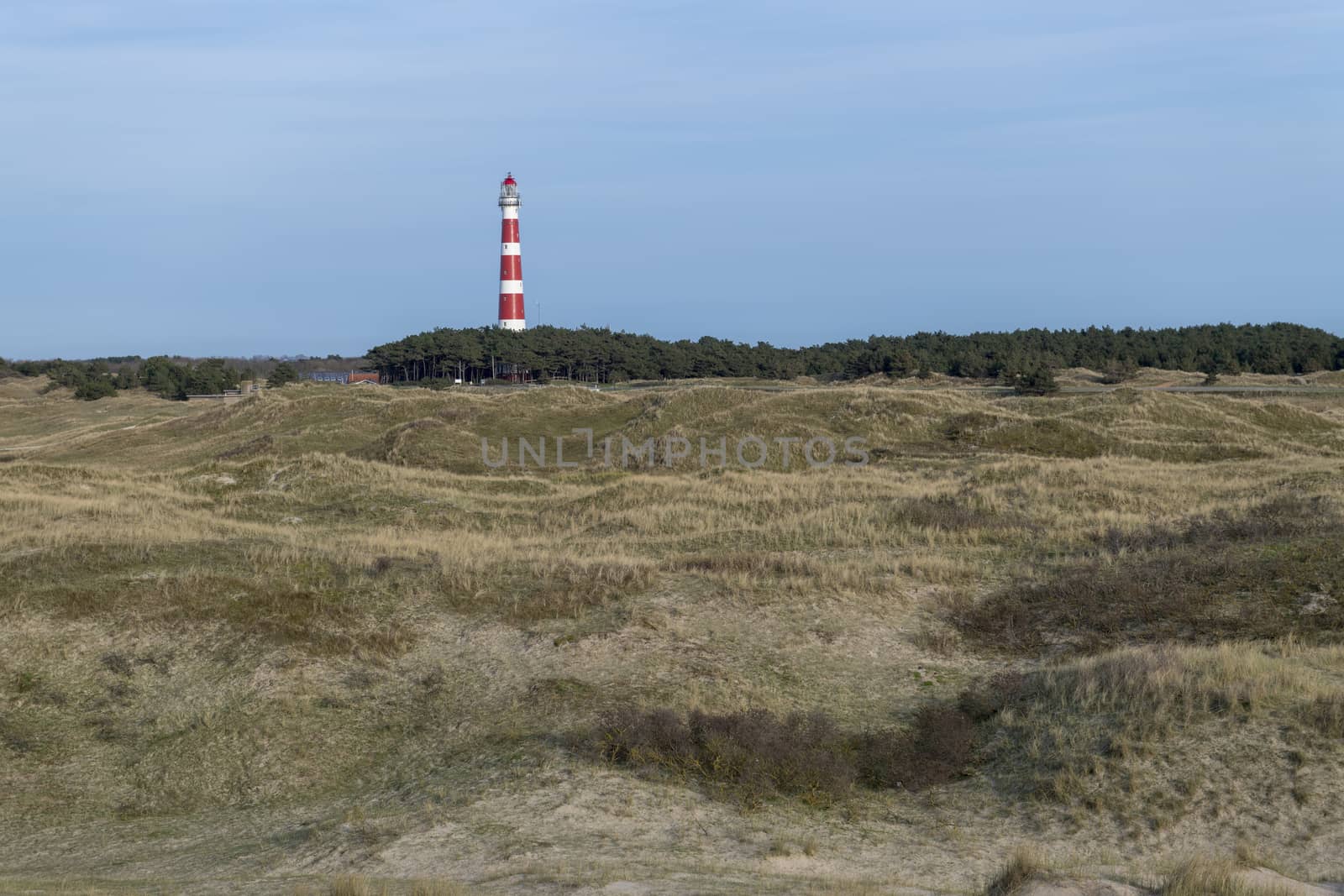 Lighthouse of the Dutch island Ameland with dunes
 by Tofotografie