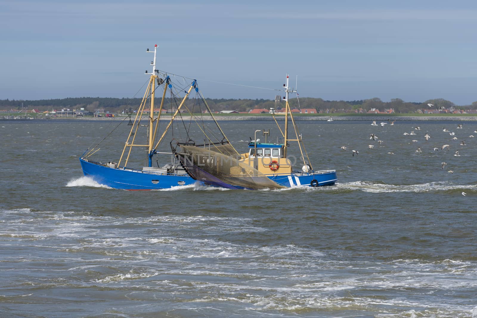 Fishing boat on the Wadden Sea near the island Ameland
 by Tofotografie