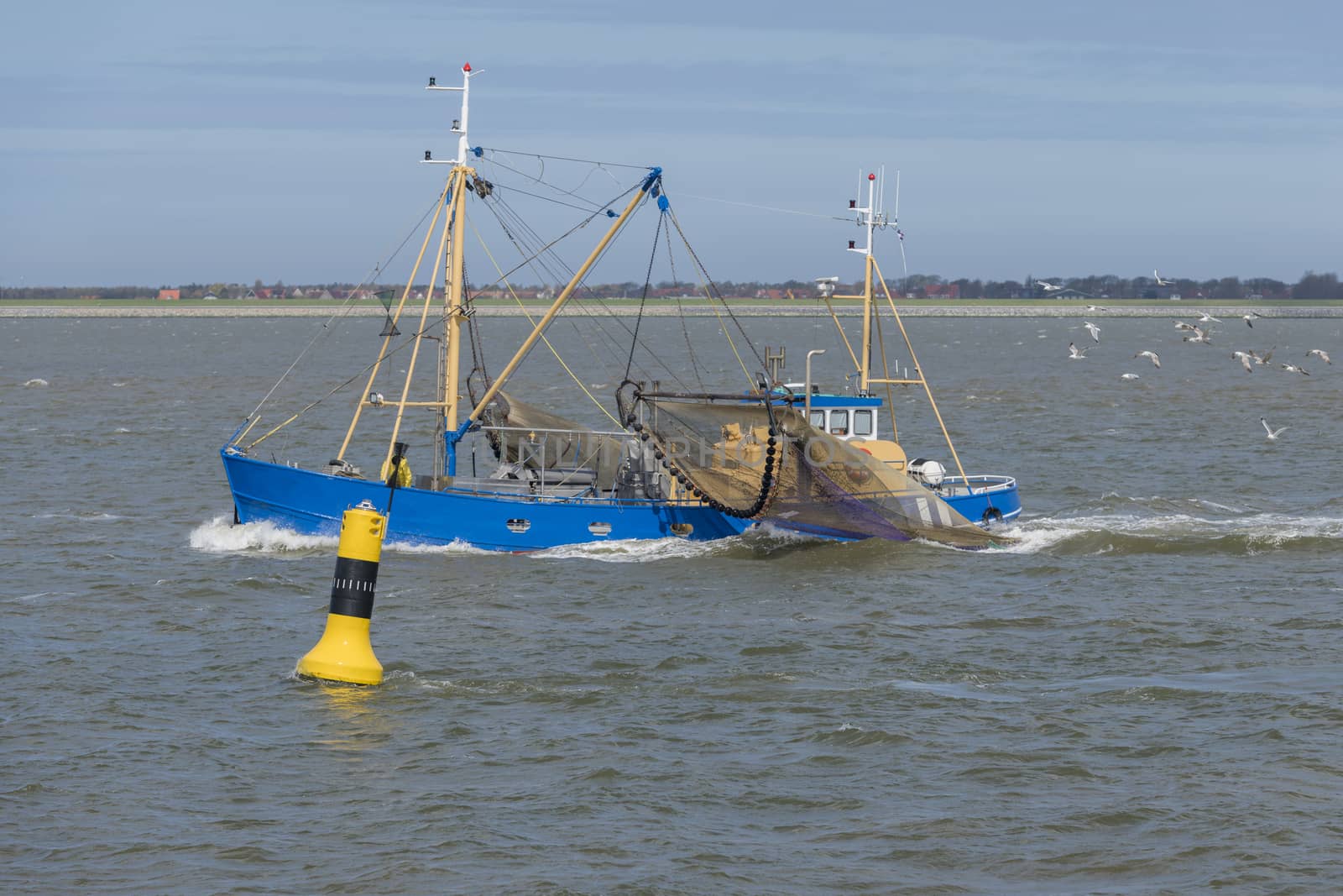 Commercial shrimp fishing boat on the UNESCO protected Wadden Sea near the island Ameland in the North of Netherlands
