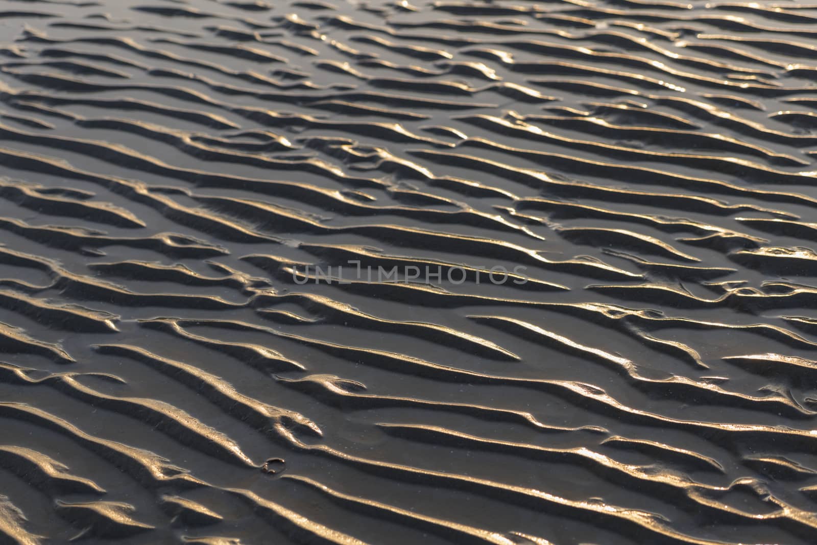 Abstract ridges in the evening sun from the North Sea Beach on the island of Ameland in the Netherlands
