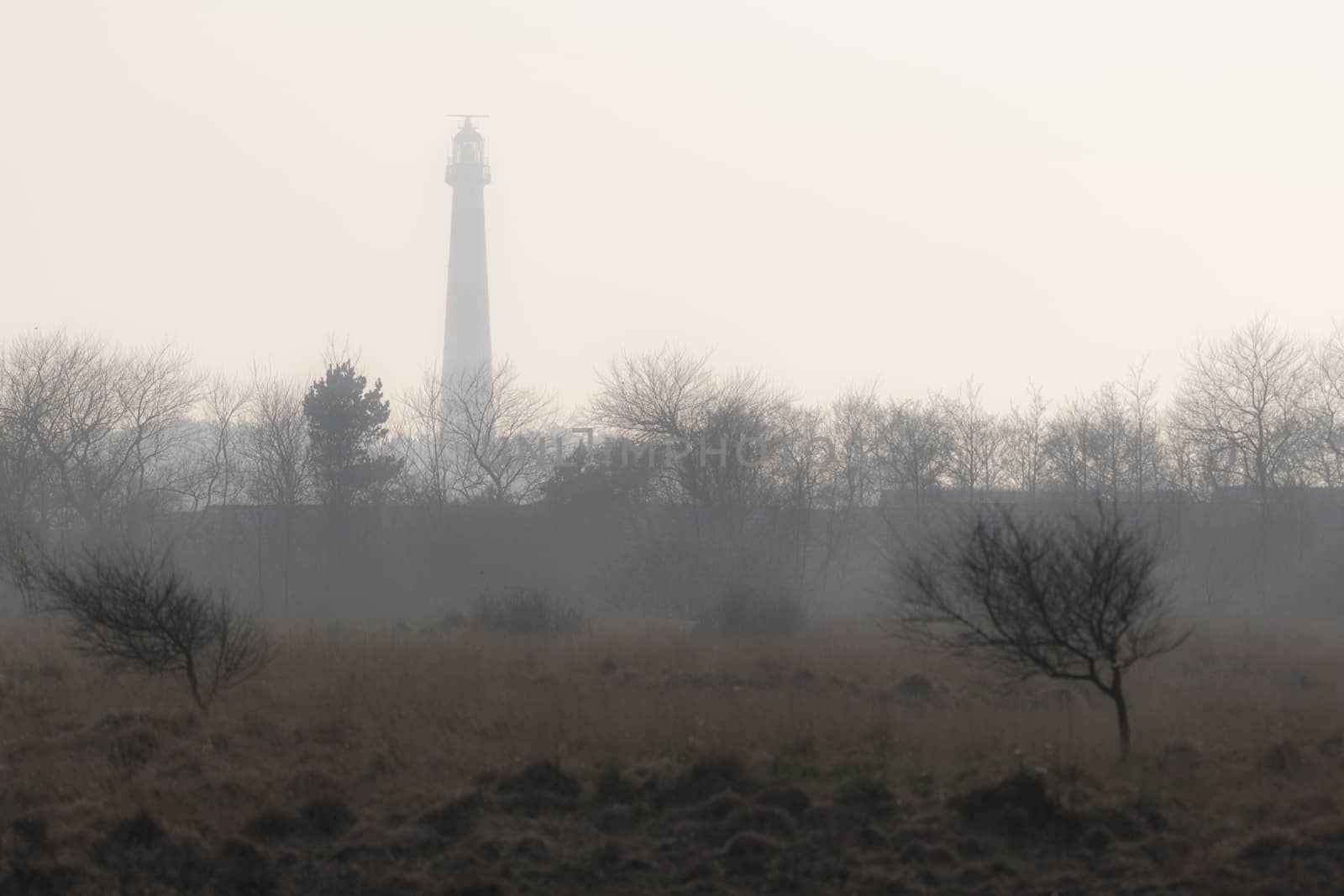 Abstract photo of the lighthouse of the island Ameland in the evening sun with a nature reserve on the foreground
