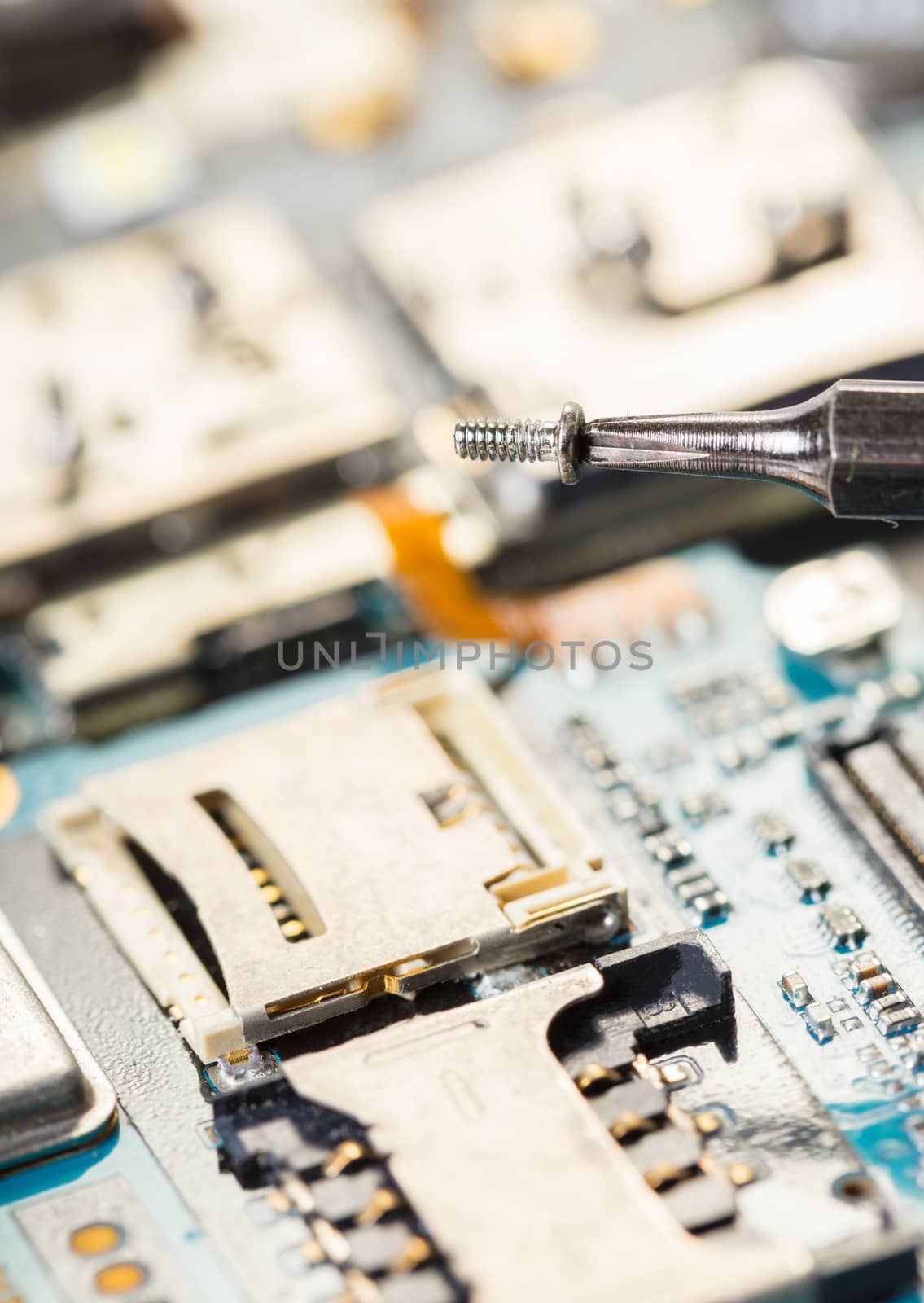 screwdriver with a screw on background of the disassembled mobile phone