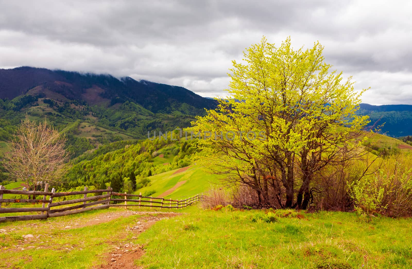 mountainous countryside in springtime by Pellinni