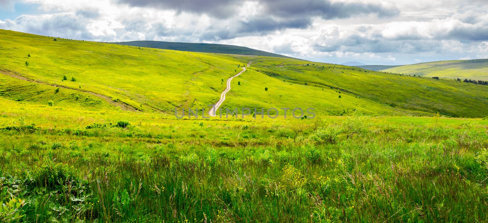 road through grassy hillside. beautiful panorama of summer landscape in mountain on a cloudy day. travel destination concept