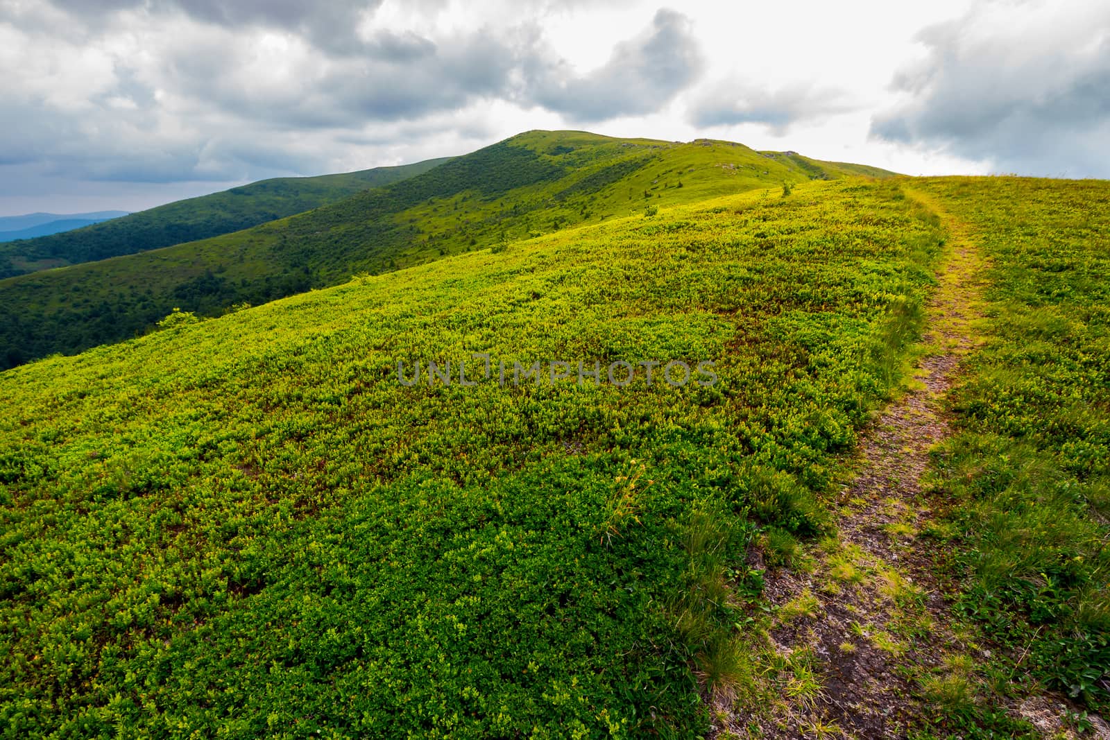 path through mountain ridge on an overcast day by Pellinni