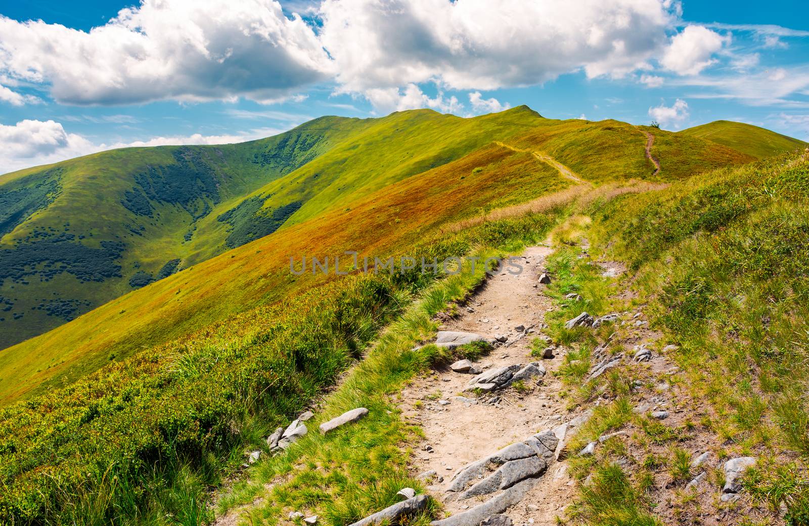 path to the top of the mountain. beautiful summer landscape. great destination to travel. location Velykyi Verkh peak of Borzhava ridge in Carpathian mountains, Ukraine