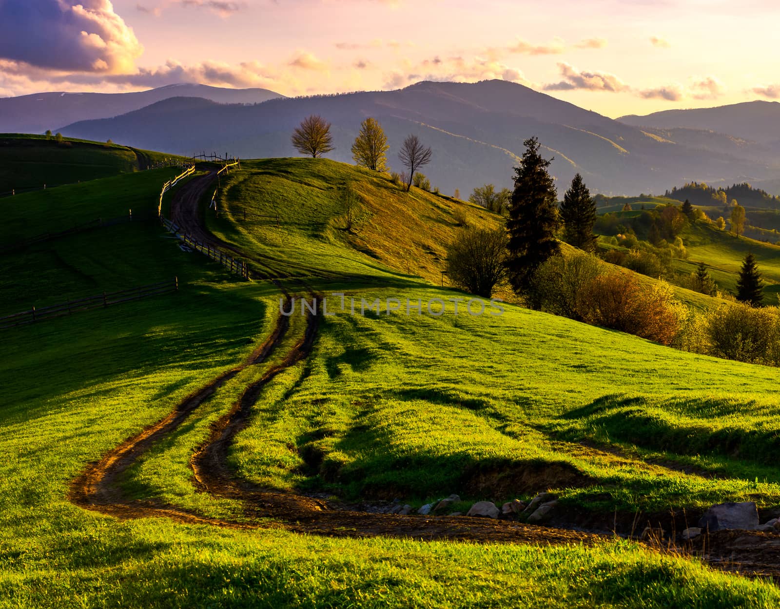 road through green hills at sunset by Pellinni