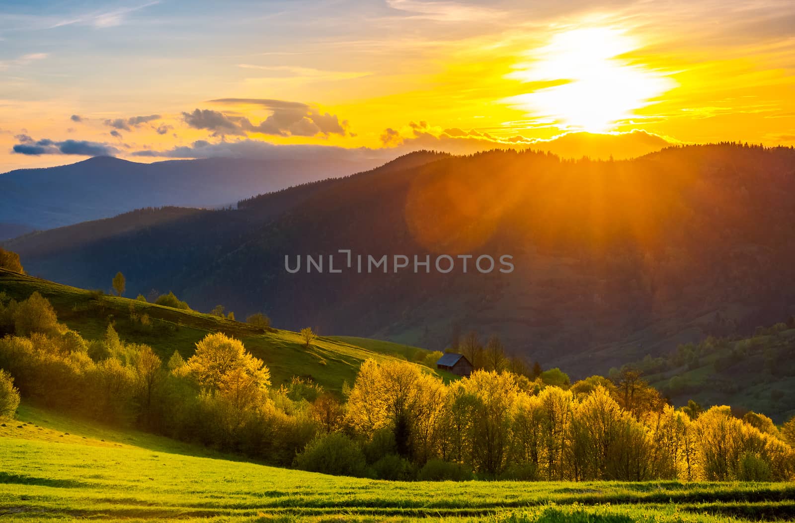 great sunset in Carpathian mountains by Pellinni