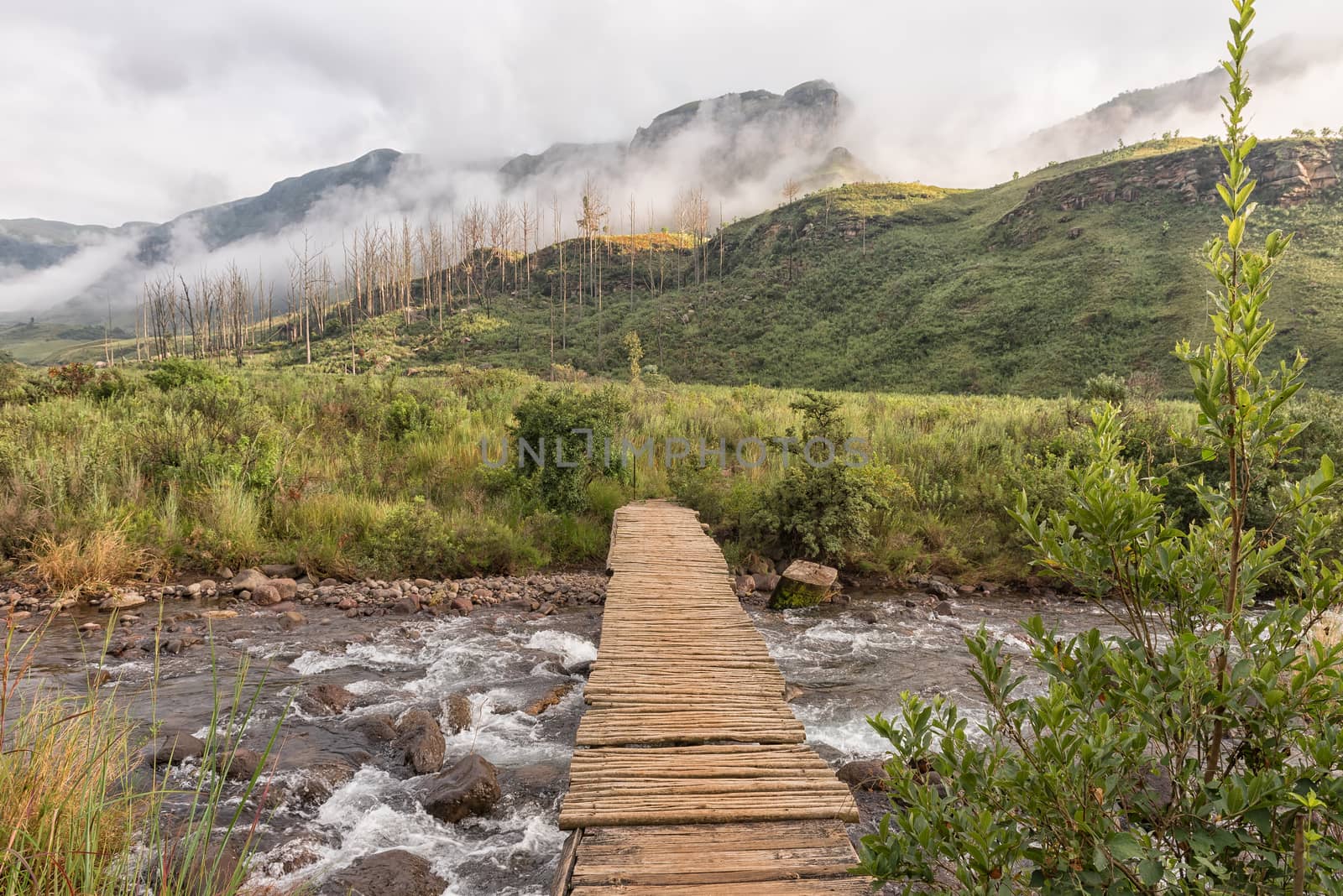 A pedestrian bridge over a stream at the start of the Van Heiningen Pass hiking trail at Injisuthi in the Kwazulu-Natal Drakensberg