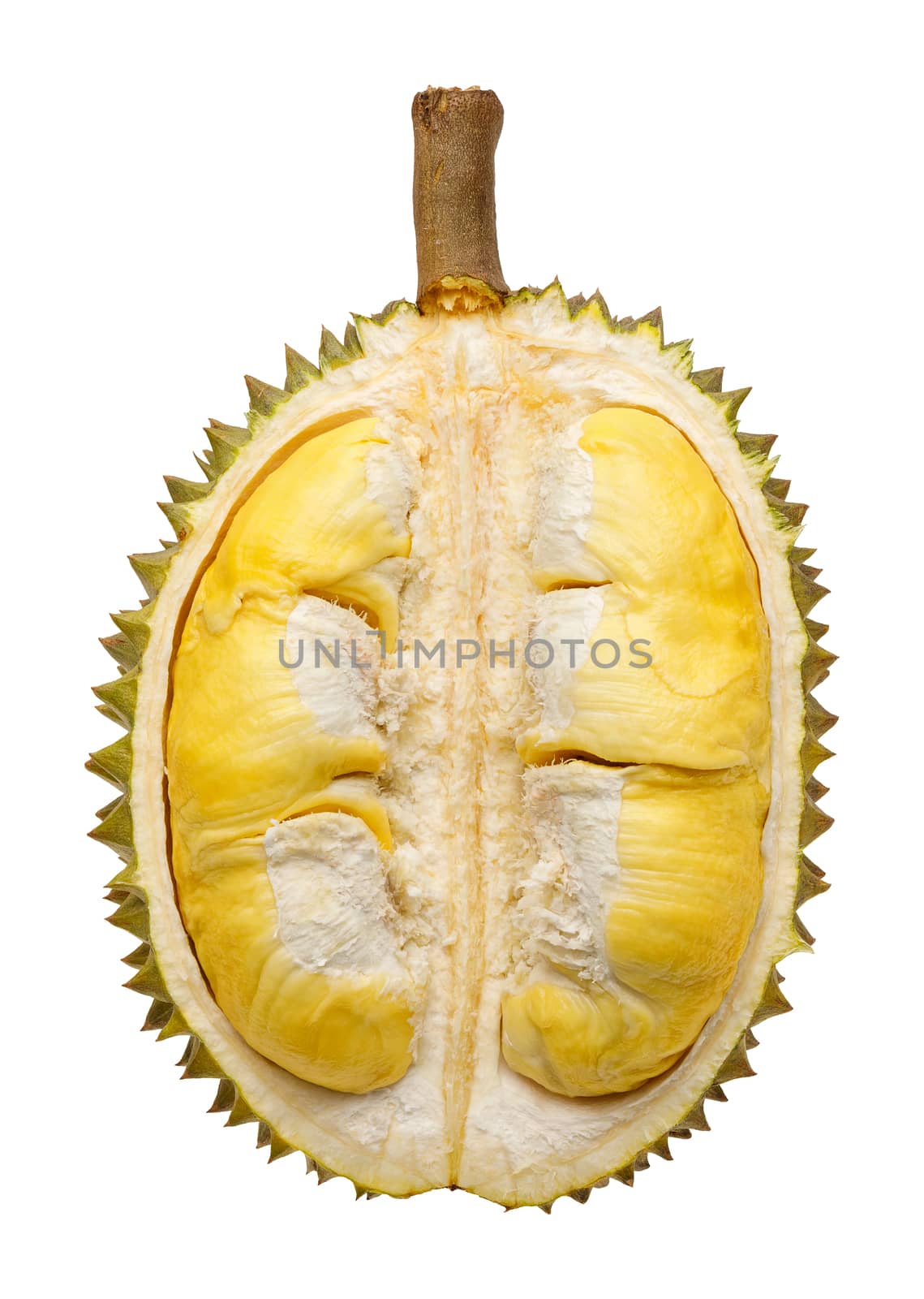 Durian fruit portion isolated on white background