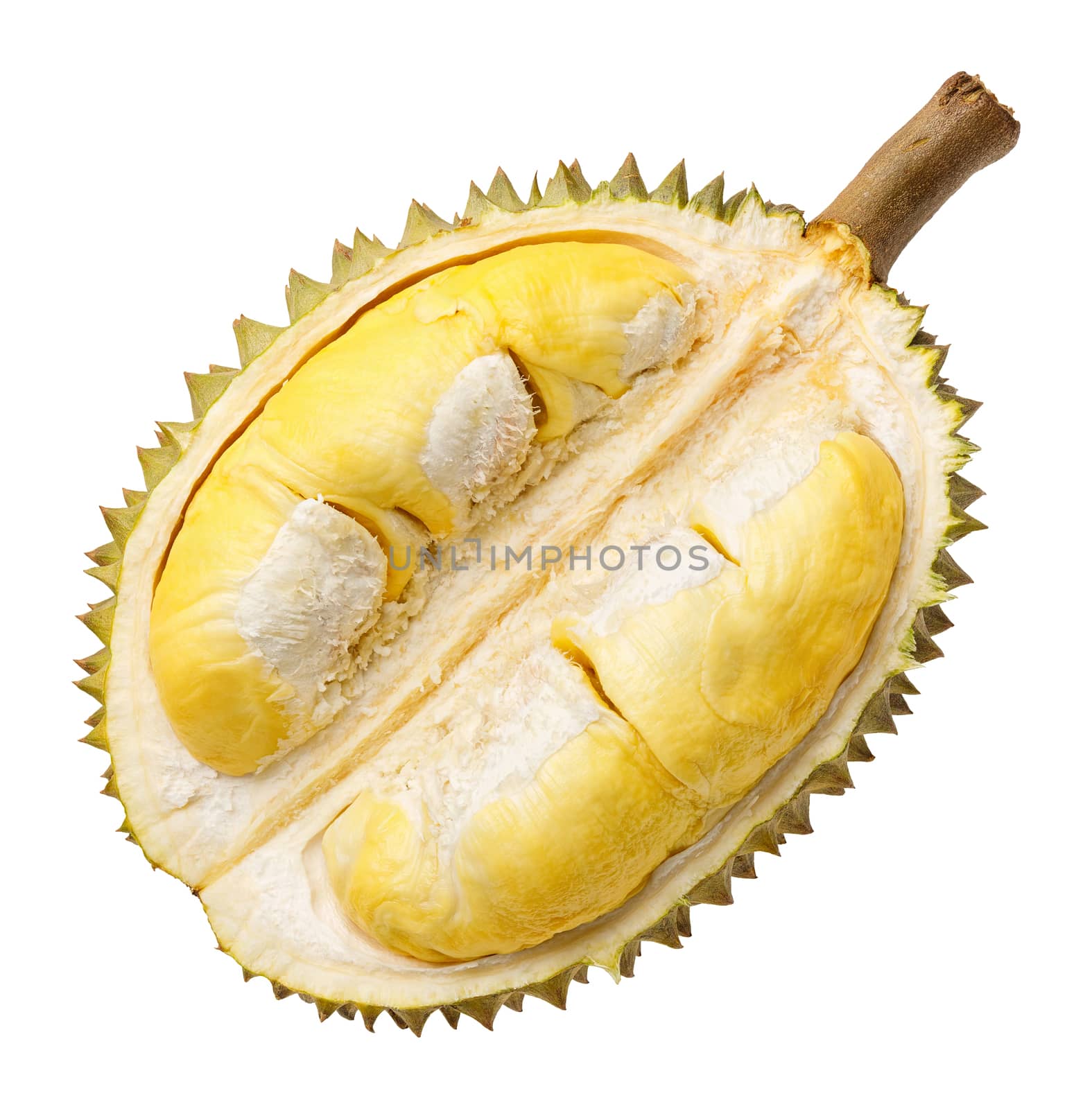 Durian fruit portion isolated on white background