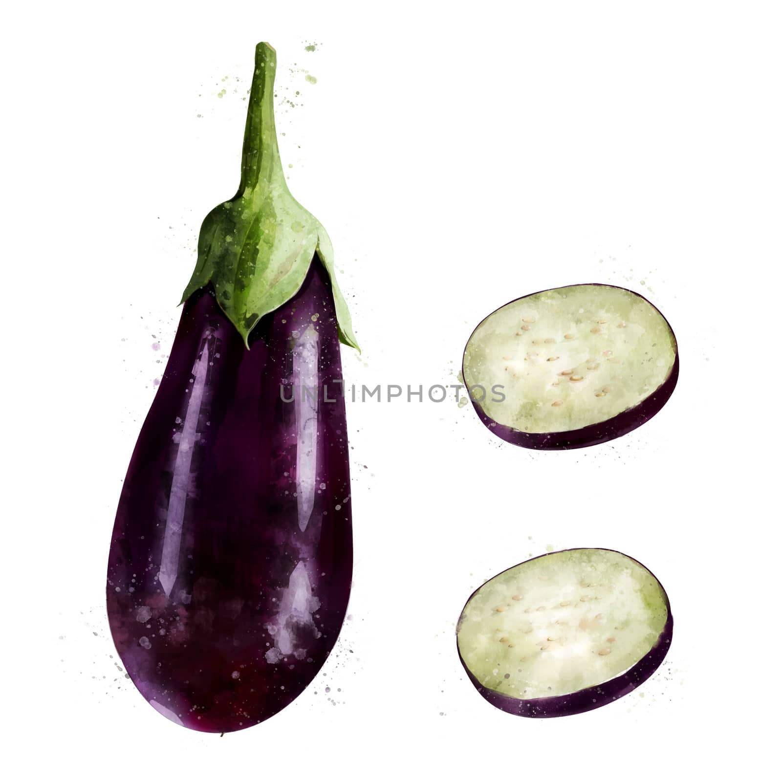 Eggplant on white background. Watercolor illustration by ConceptCafe