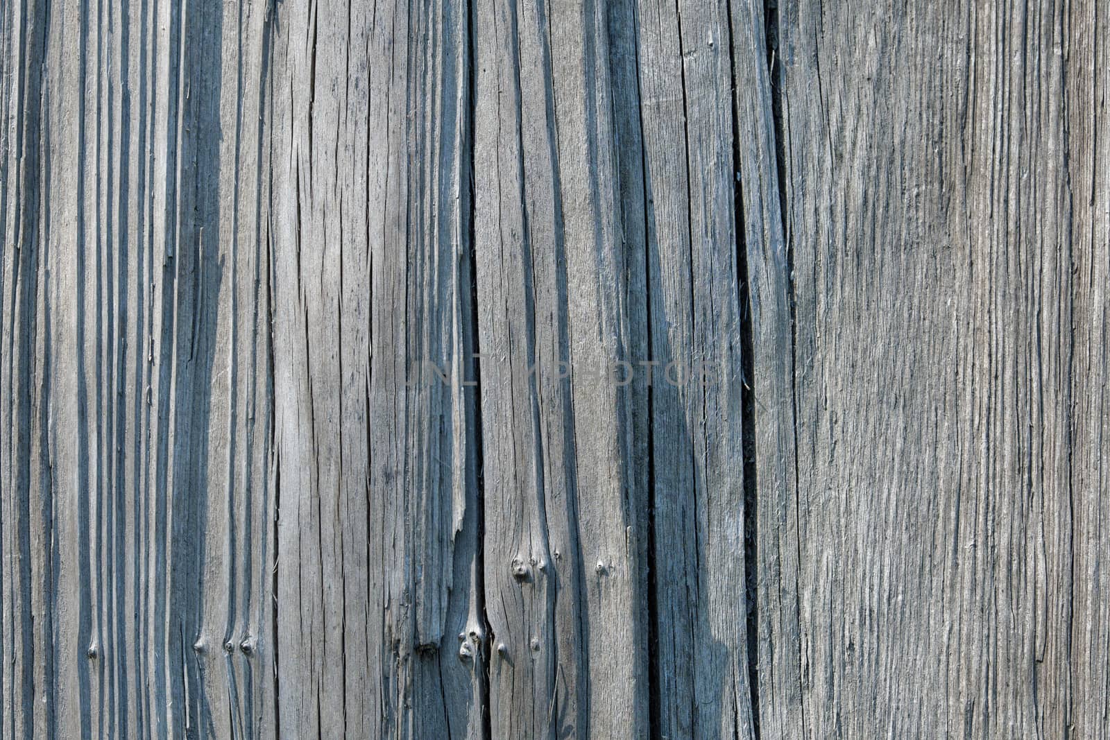 Wood texture with natural pattern. A fragment of a wooden panel