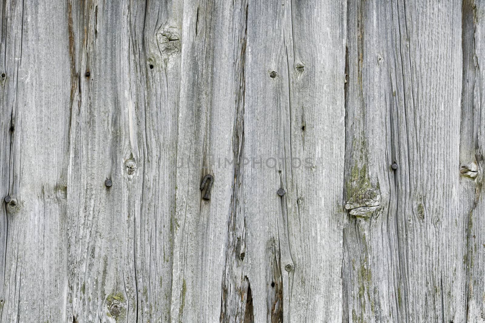 Grunge wood pattern texture background, wooden planks