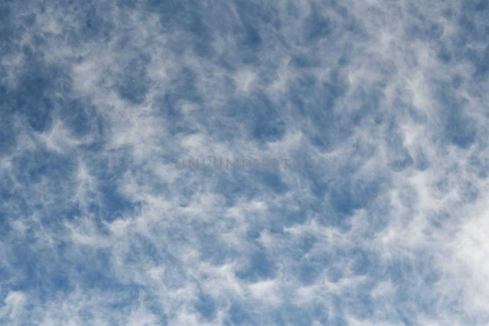 Clear blue sky with plain white cloud with space for text background. The vast blue sky and clouds