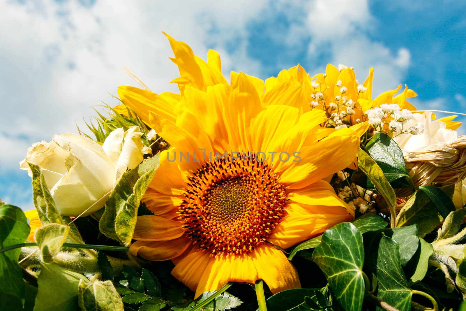 Close up of bright yellow sunflower bouquet