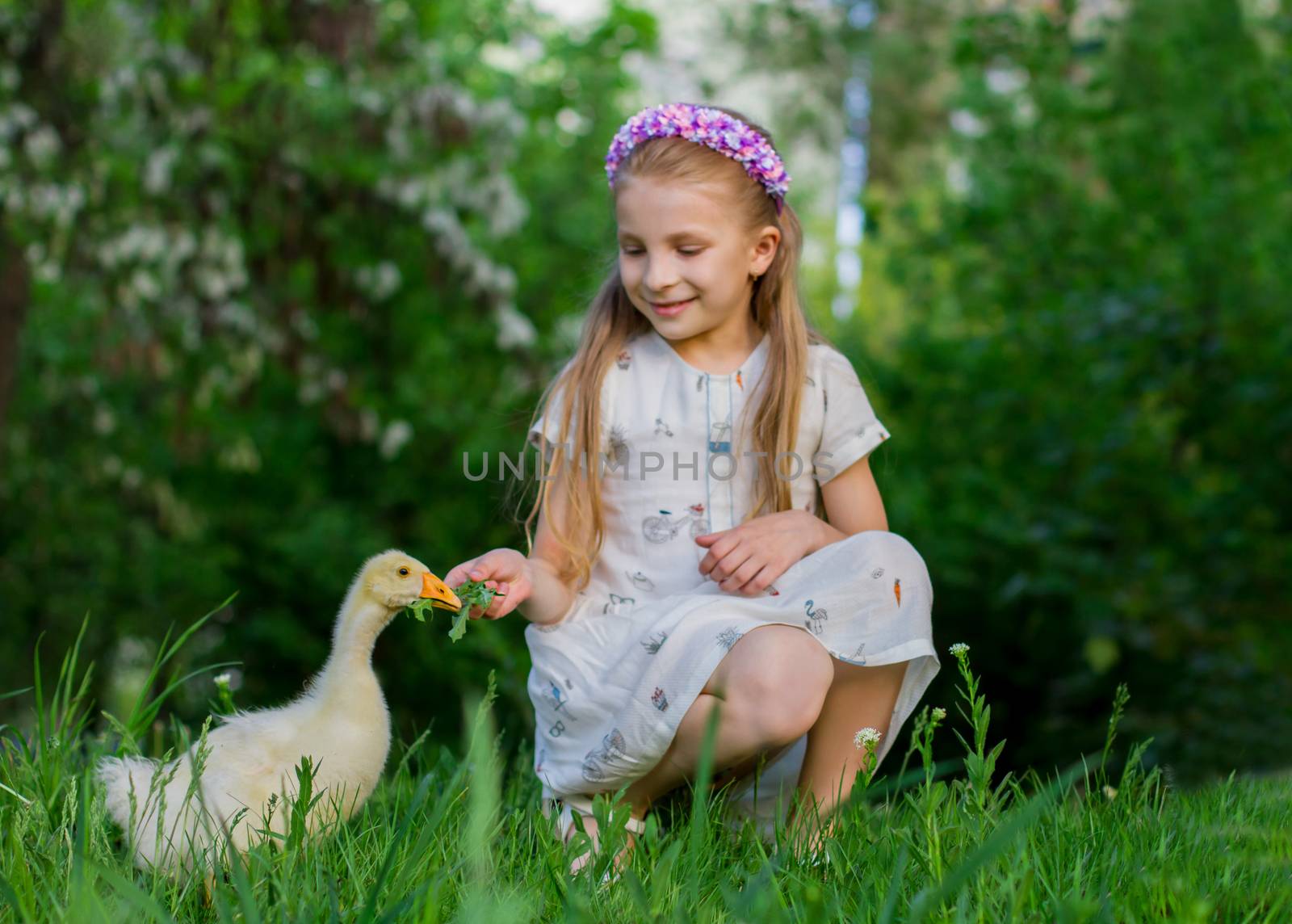 Girl feeding duckling with grass by Angel_a