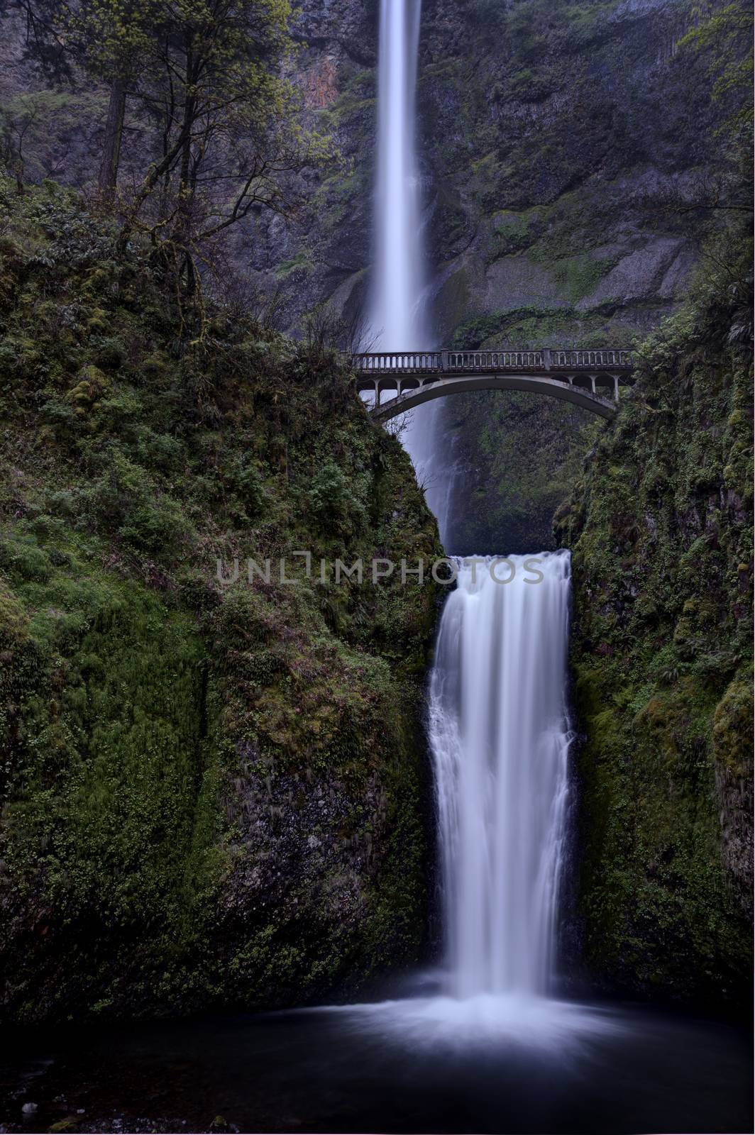 Multnomah Falls Oregon by pictureguy