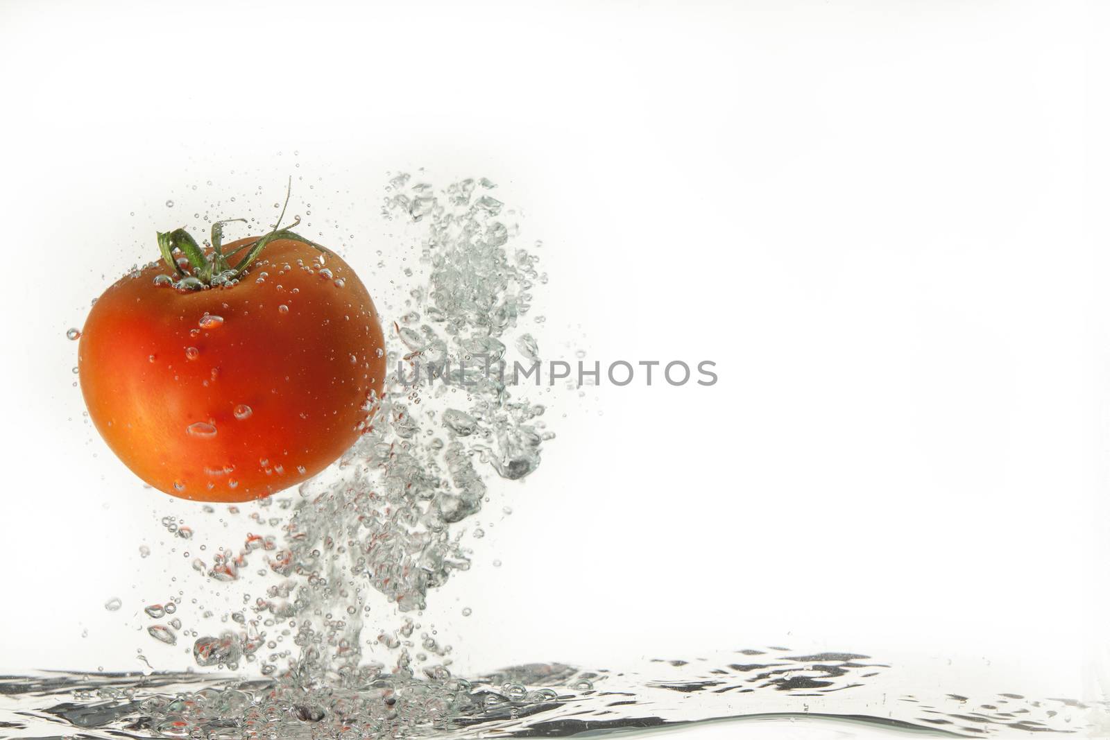 Tomato in the water on isolated studio background