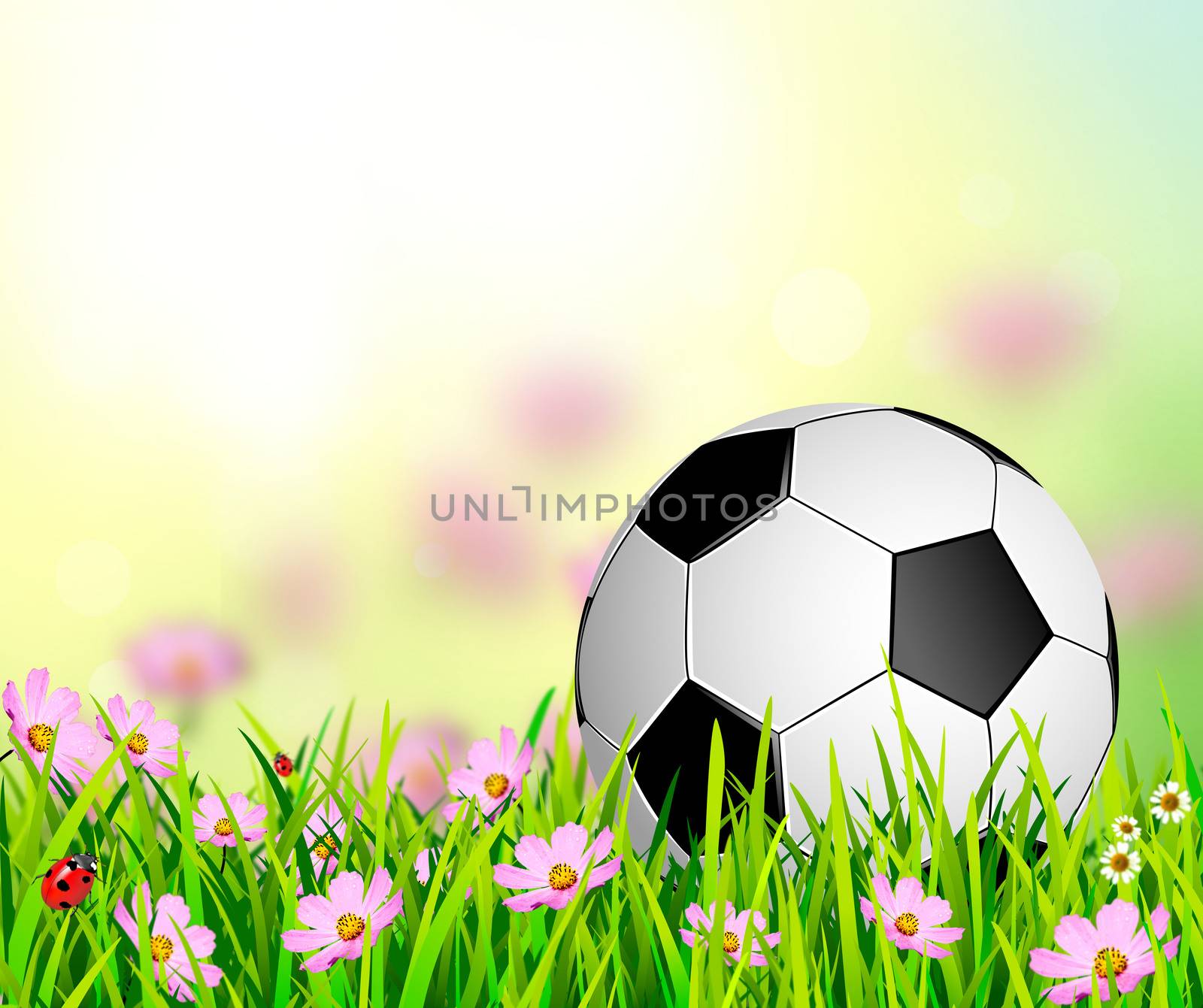 Soccer ball on a background of grass and flowers. Soccer ball on an abstract background. 