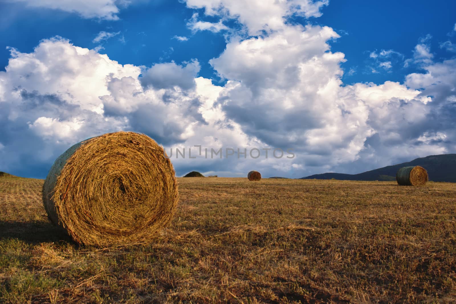 Hay bales on the field after harvest, a clear day. Blue sky, white clouds.