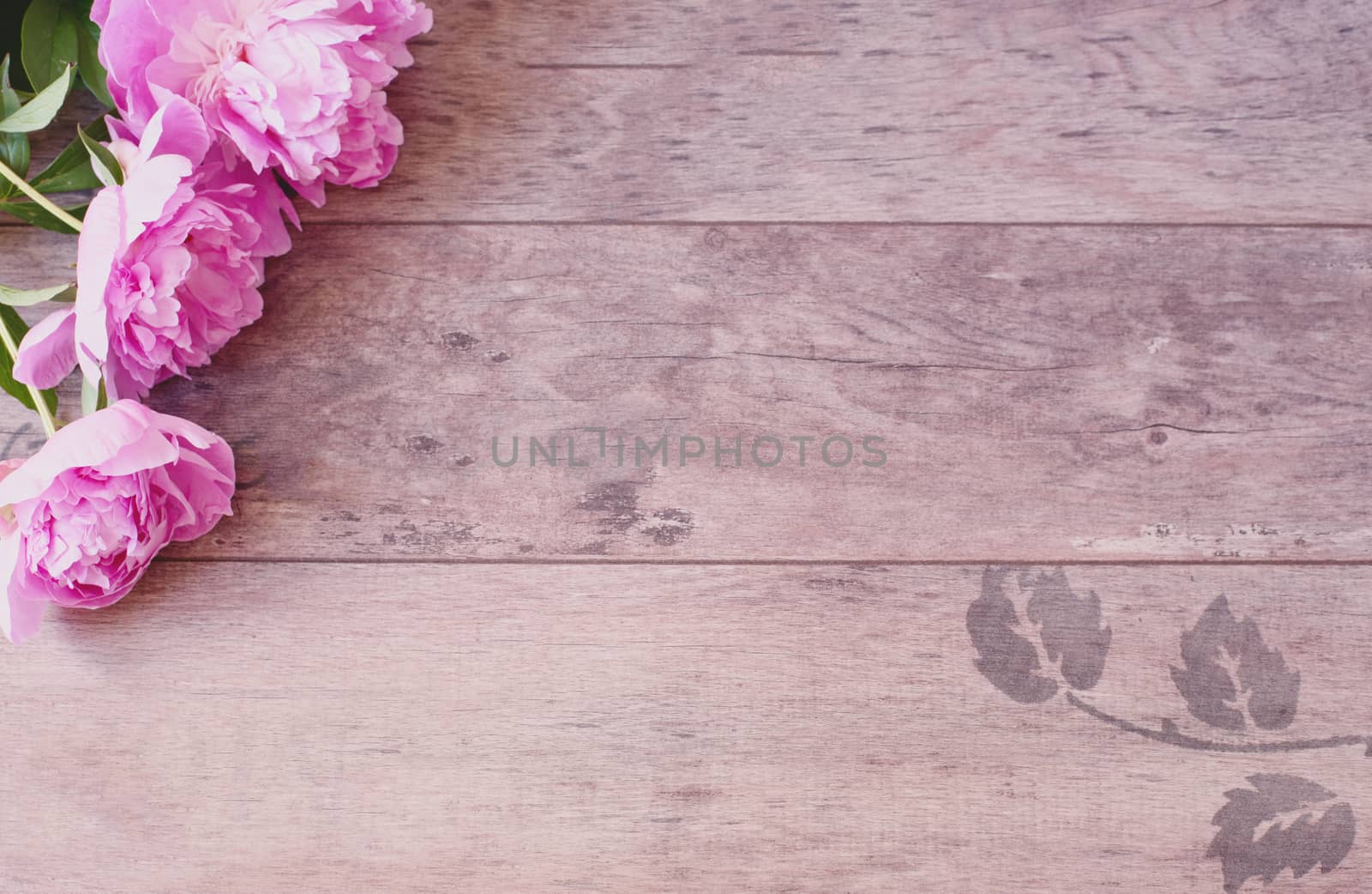 Pink Peonies Flowers on a Wooden Background. Styled Marketing Photography. Styled Stock Photography. Blog Header Image Blog 