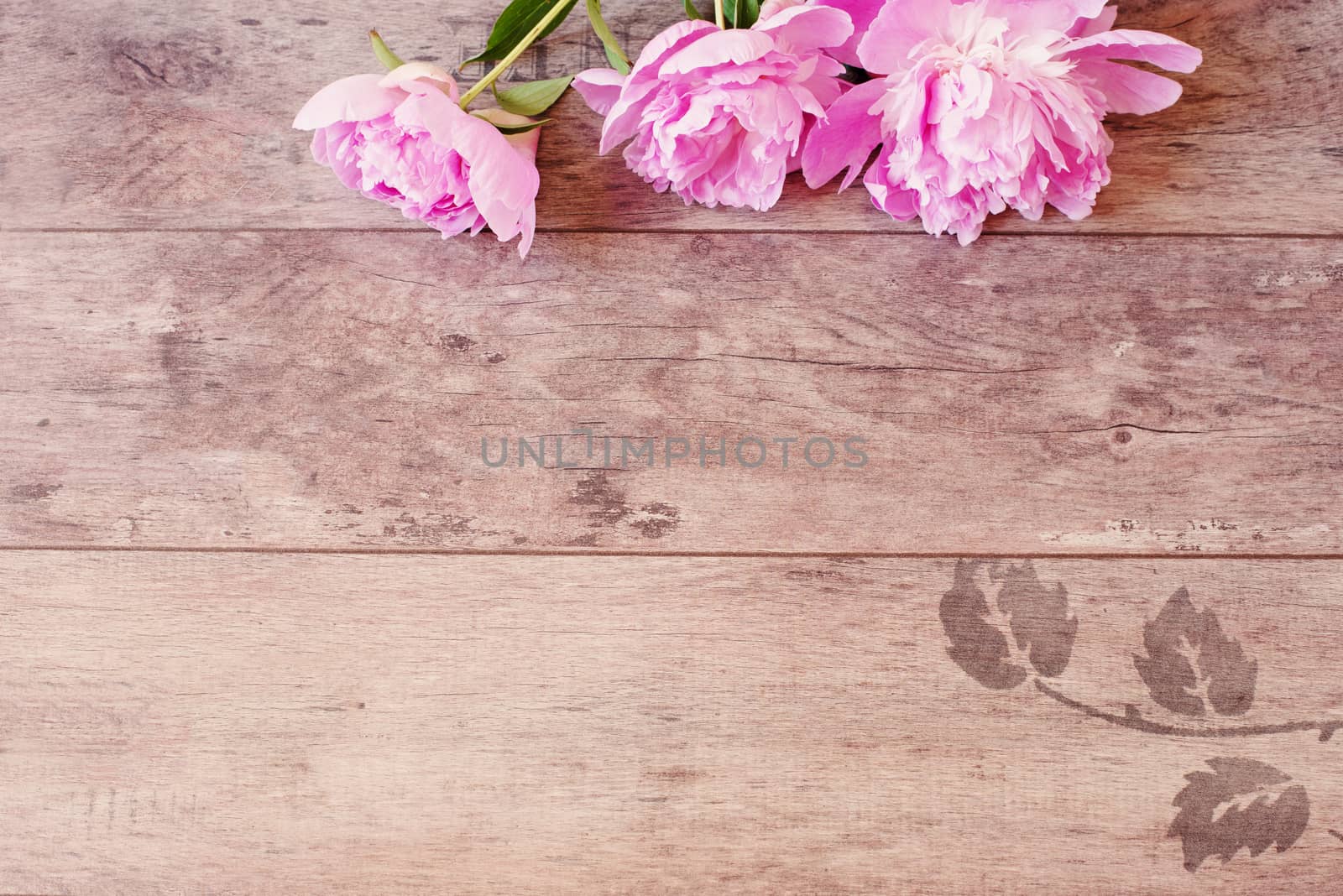 Floral frame with pink peonies on wooden background. Styled marketing photography. Copy space. Wedding, gift card, valentine's day or mothers day background