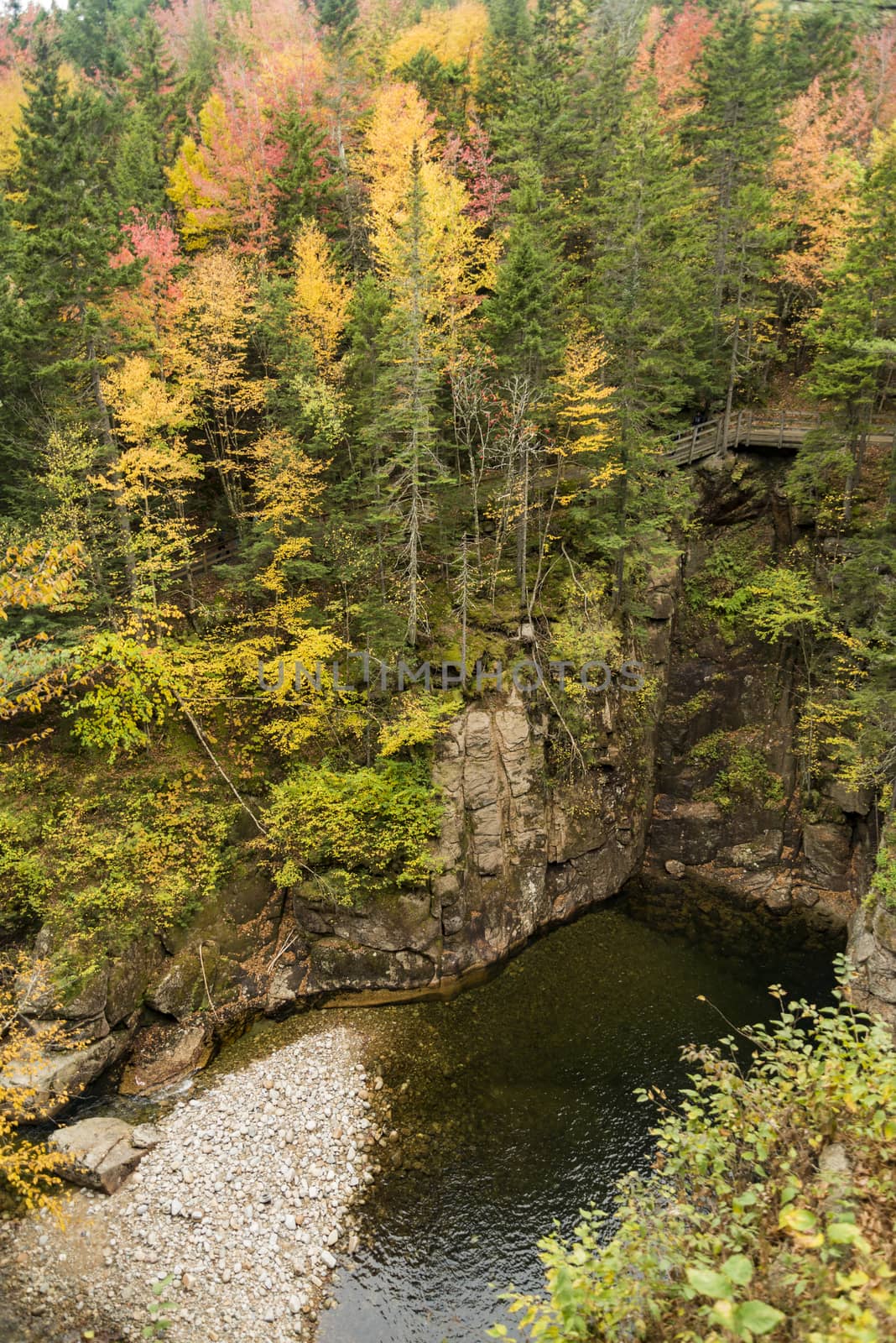 Fall Foiliage in Franconia Notch State Parke by edella
