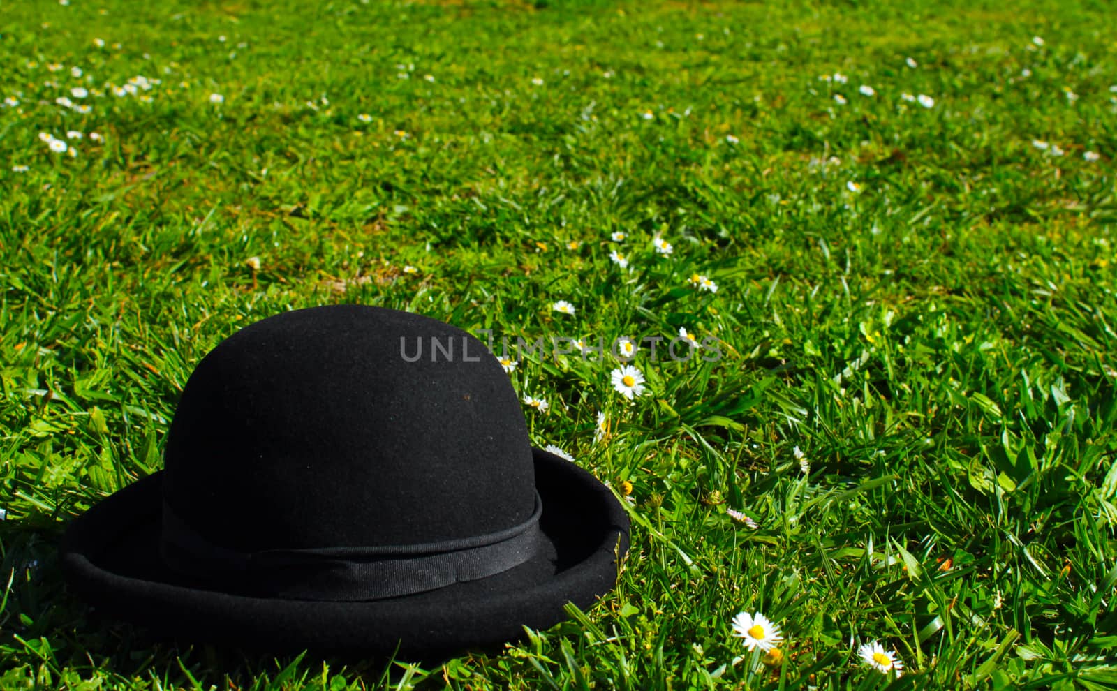 bowler hat on lawn