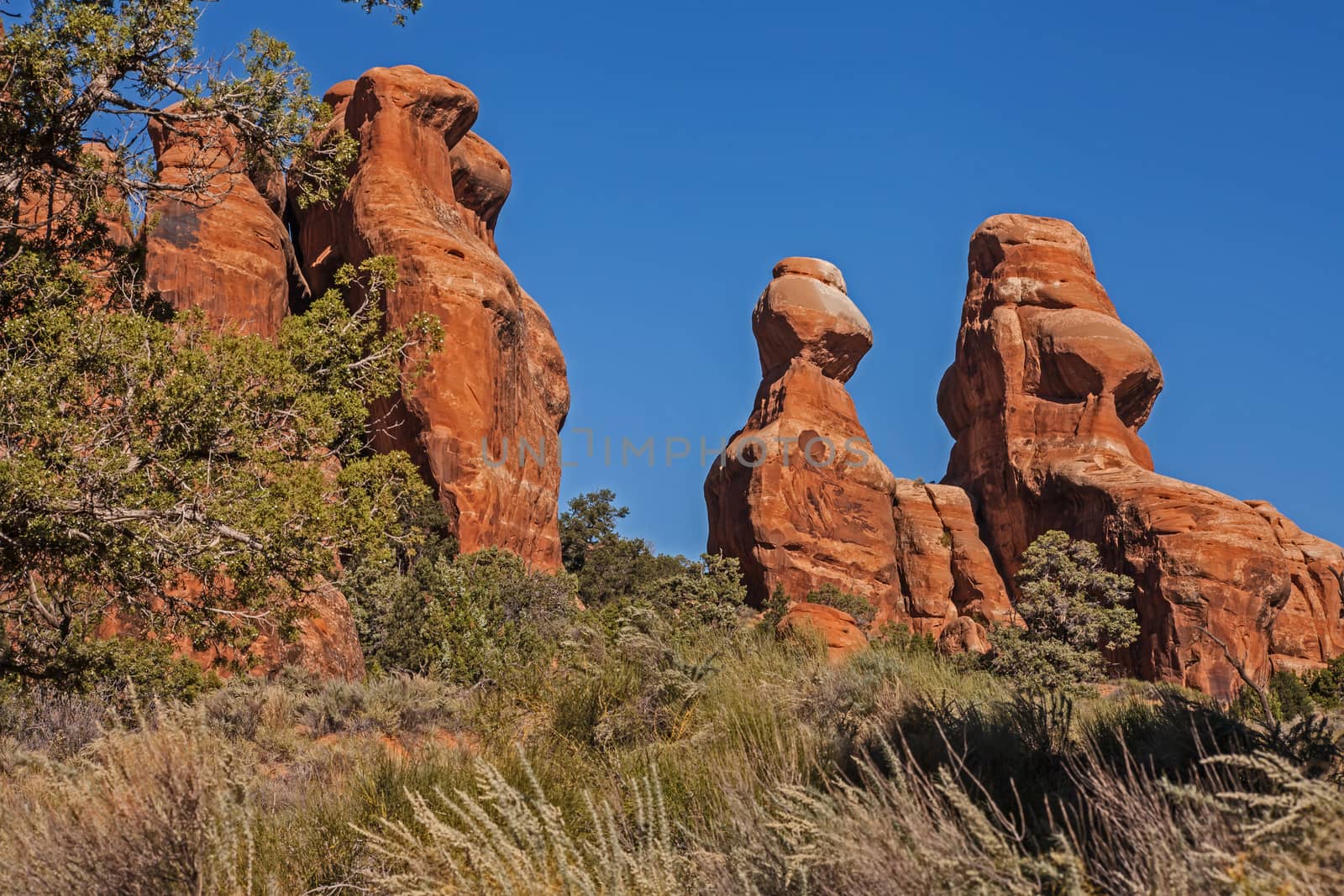 Devils Garden Arches National Park by kobus_peche