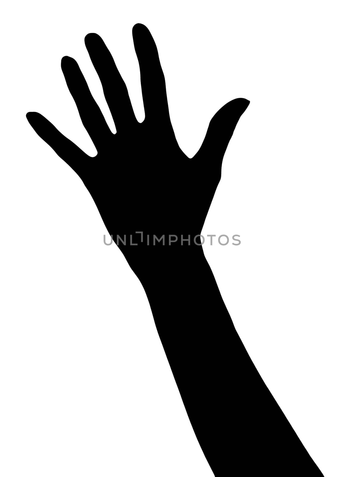 Silhouette of female hand isolated on a white background