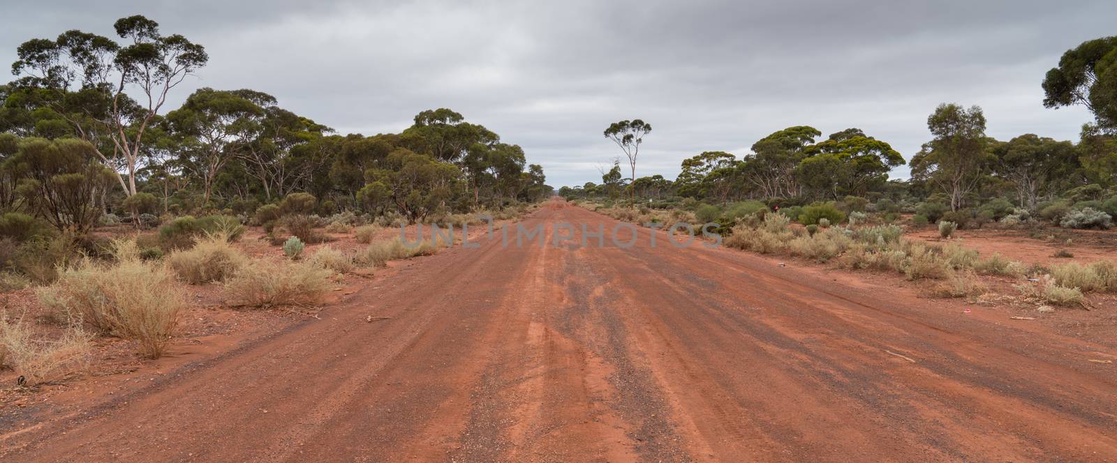Road, Outback of Western Australia  by alfotokunst