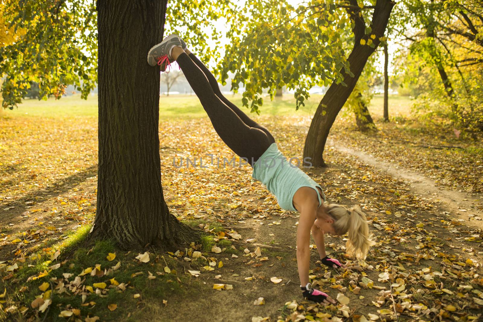 Attractive female athlete exercising in the public park covered with yellow leaves lawn to the tree. Healthy lifestyle concept.
