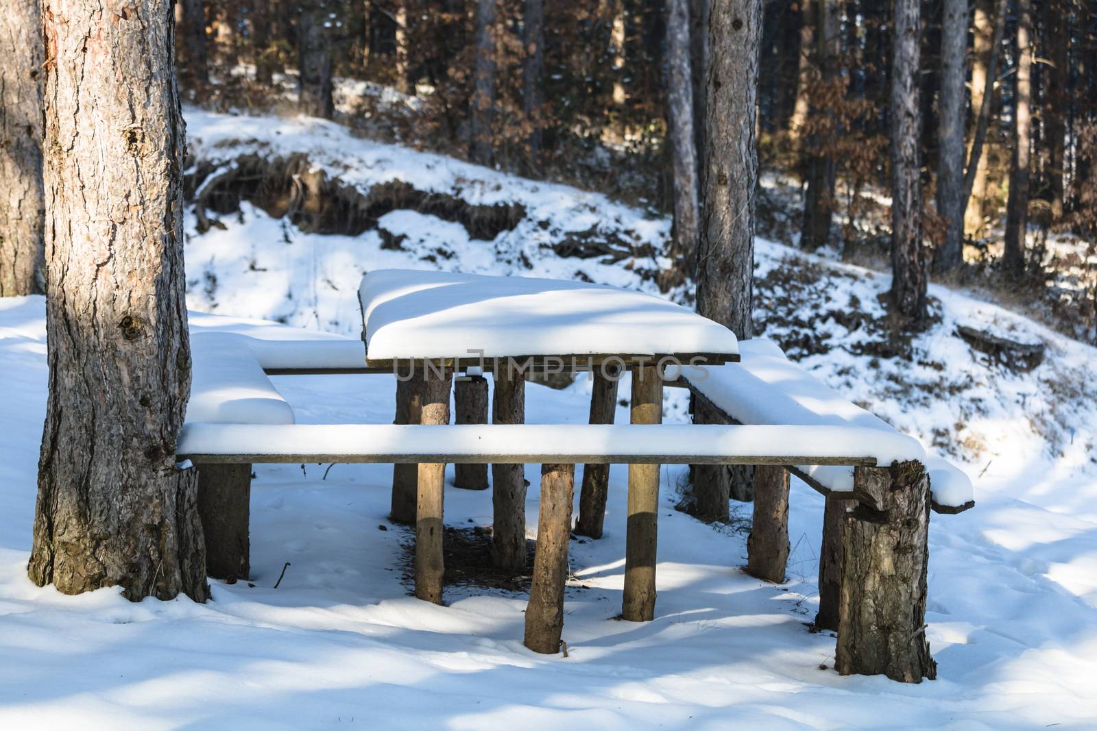 Park in winter with snow