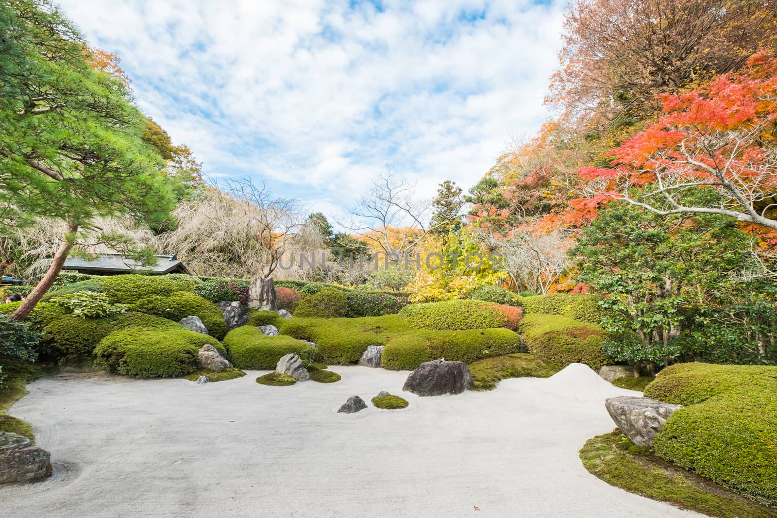 Beautiful autumn landscape at Meigetsuin,Kamakura