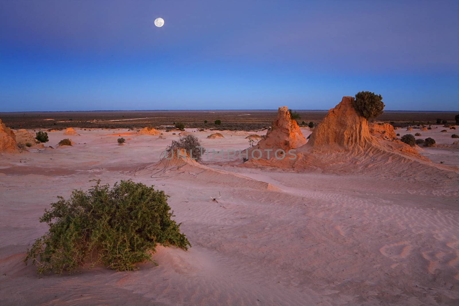 Cool dawn hues across the desert landscape and in a cloudless sky the moon sets