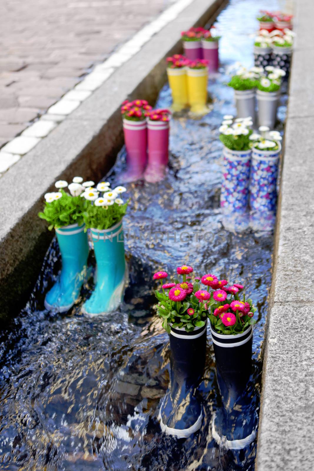 Rubber boots in the water with flowers in the city of Freiburg. Tourist attraction in the city center