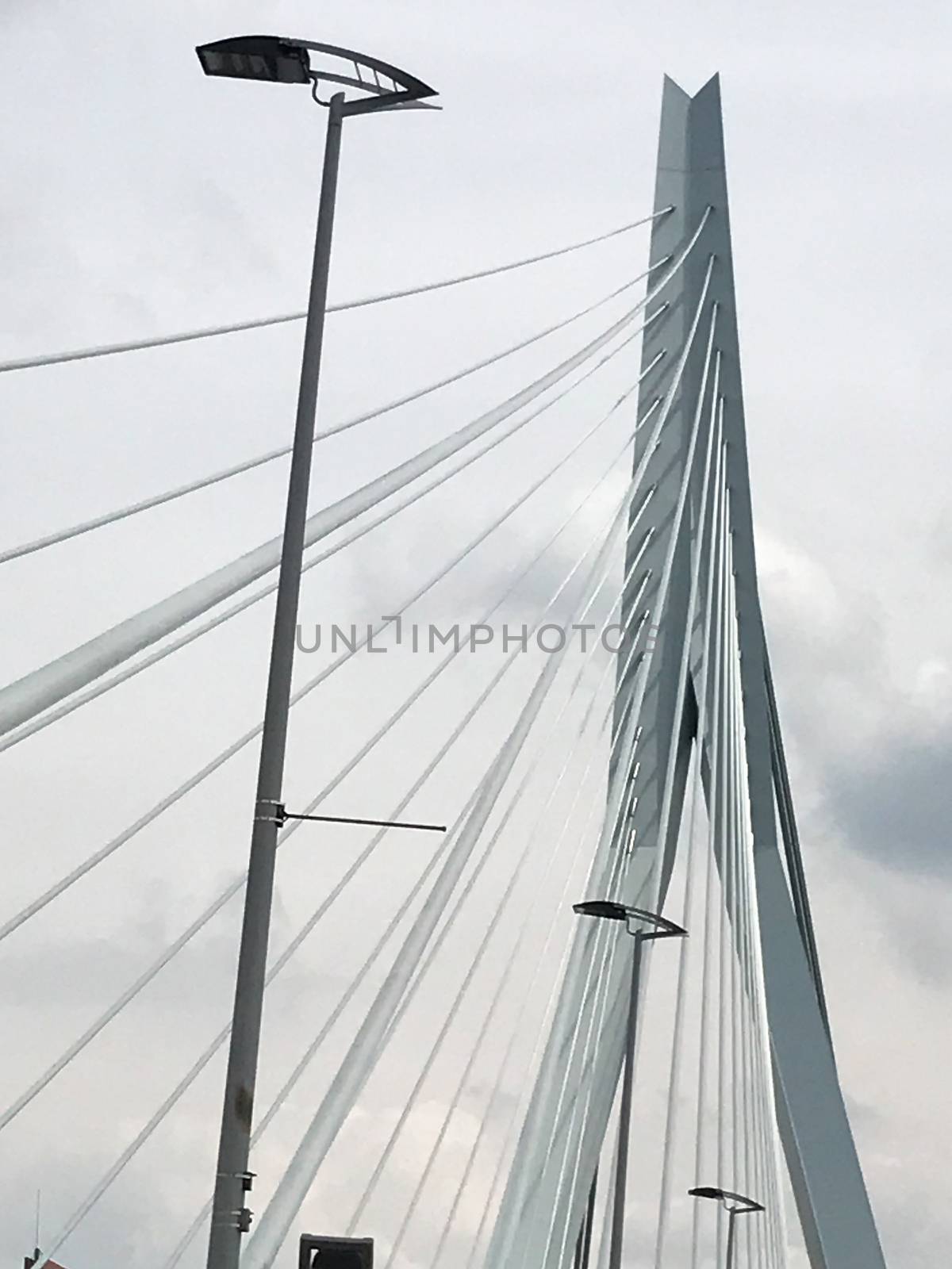 Close up of the Erasmus Bridge in Rotterdam