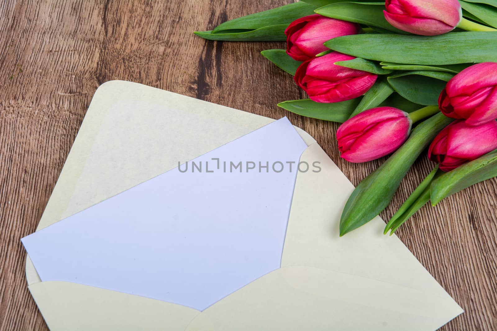 Pink envelope with tulips on a table by neryx