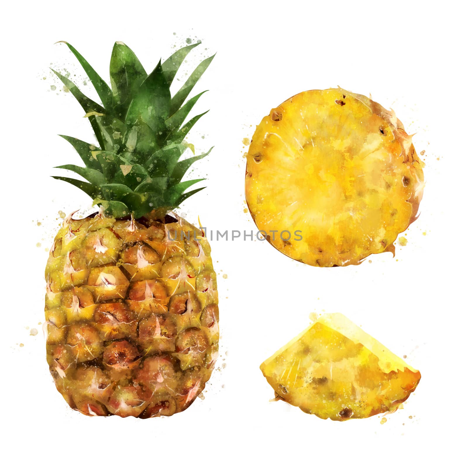 Pineapple, isolated hand-painted illustration on a white background