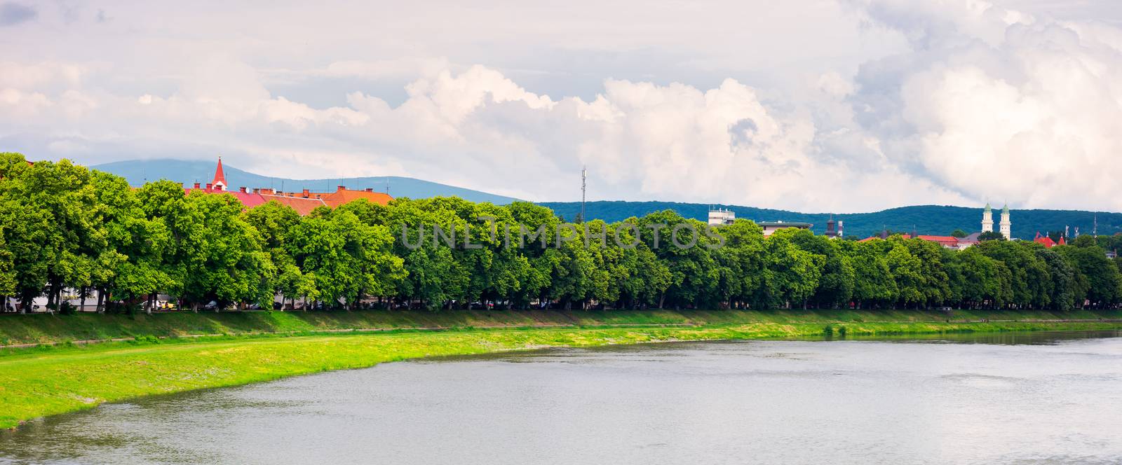 longest european linden alley in Uzhgorod panorama by Pellinni