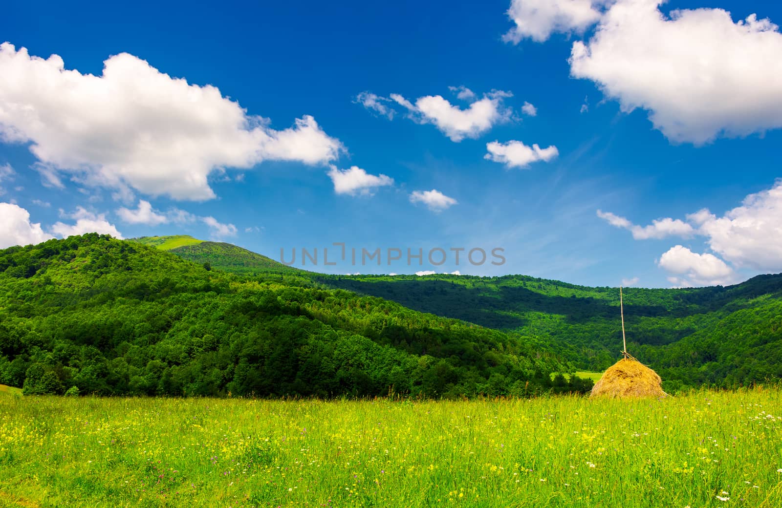 haystack on a grassy pasture in mountains by Pellinni