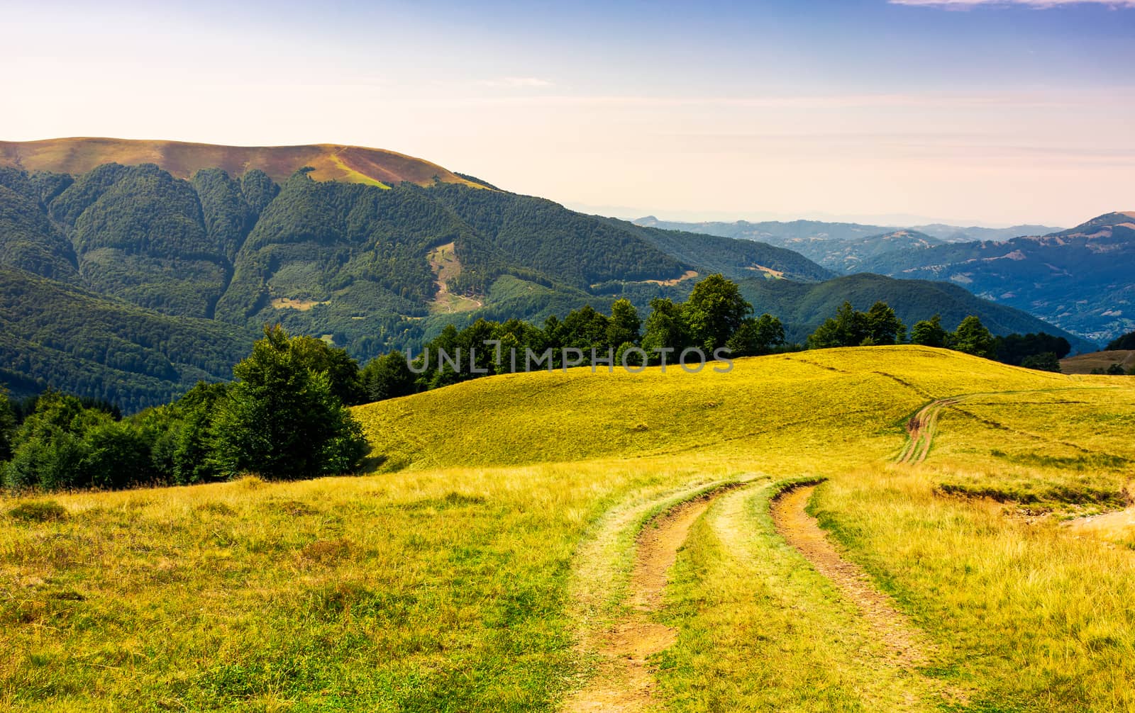 country road through grassy hillside by Pellinni