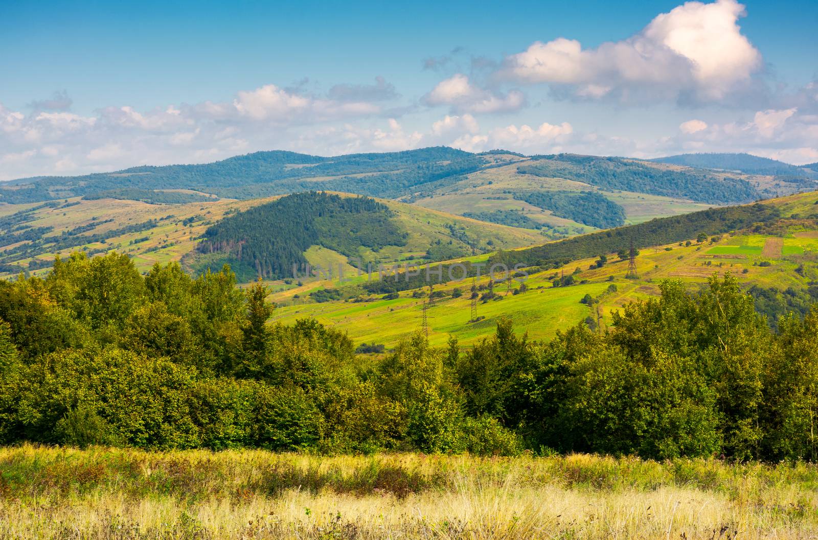 lovely Carpathian countryside in autumn by Pellinni