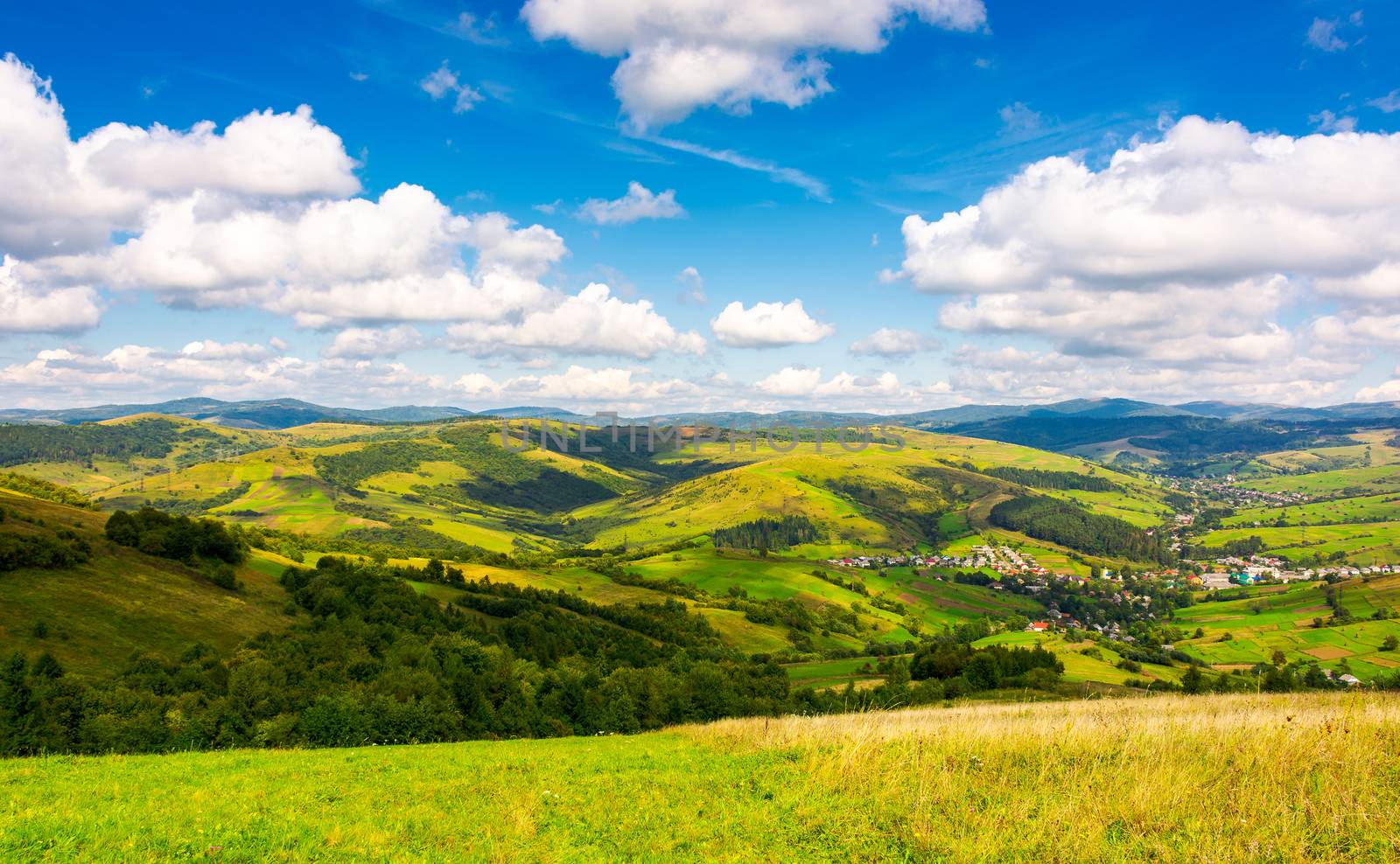 village in the valley of Carpathian mountains by Pellinni