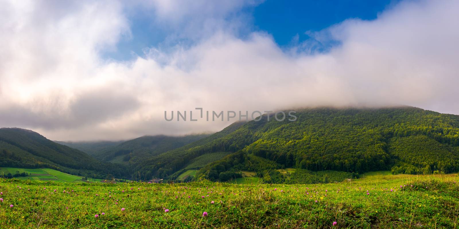 landscape with fields and  forest on hillside. lovely foggy sunrise in mountains