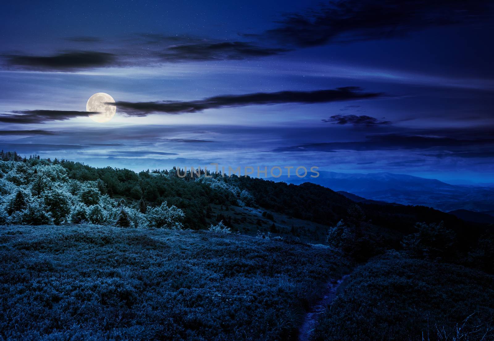 footpath through grassy mountain meadow at night by Pellinni