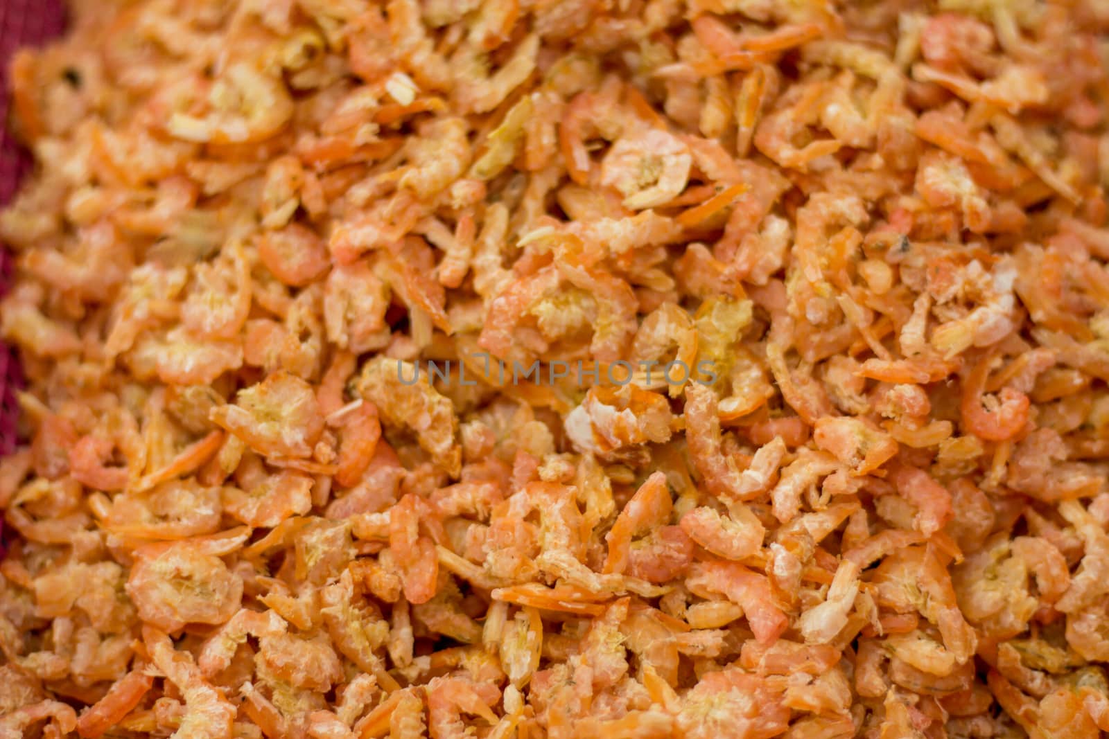 Dried Shrimp  seafood market Thailand